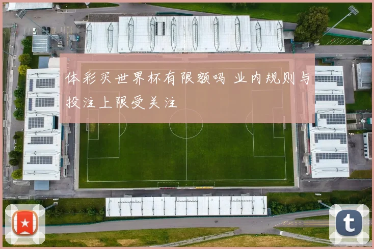 体彩买世界杯有限额吗 业内规则与投注上限受关注